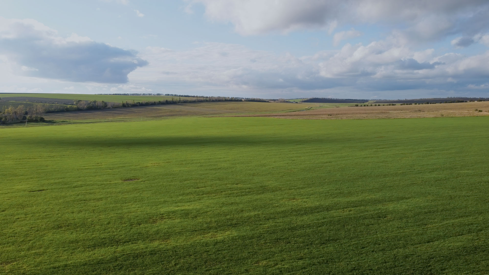 aerial drone view
