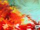 Arts, Culture, Entertainment, and Venues