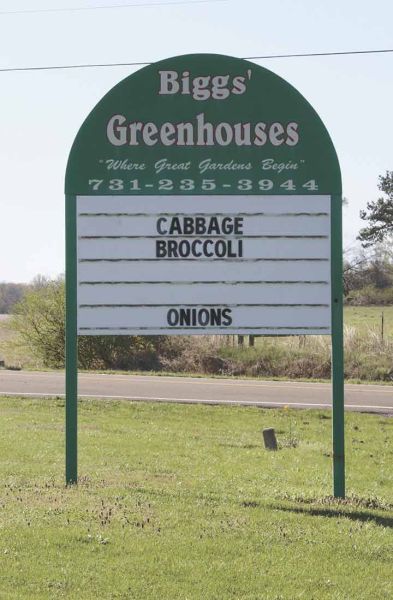 Biggs' Greenhouses, Inc.