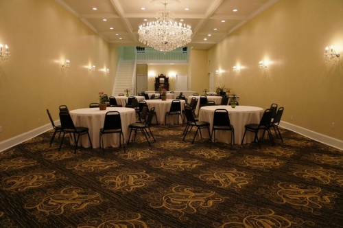 The Purple Iris of 1895